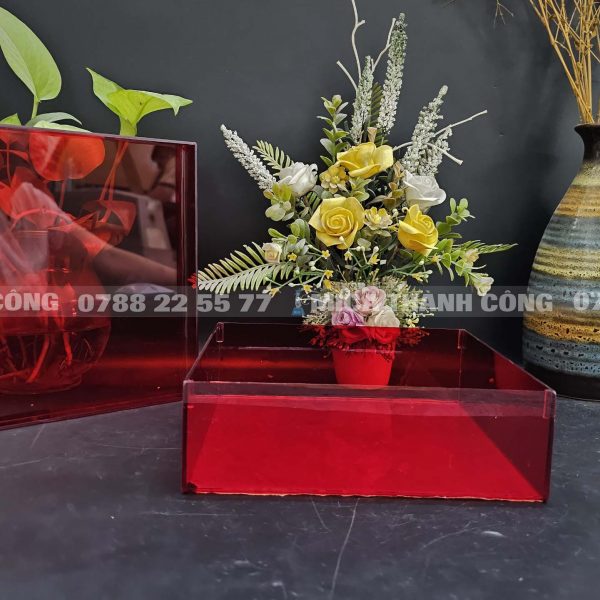 Hộp mica có nắp đậy